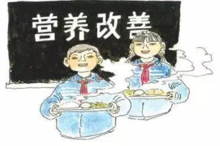山西省4.38亿元支持农村义务教育学生营养改善计划